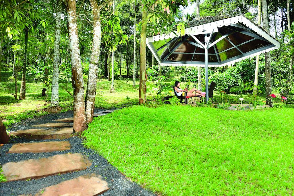 The Woods Resorts Wayanad Салтэн-Батери Экстерьер фото