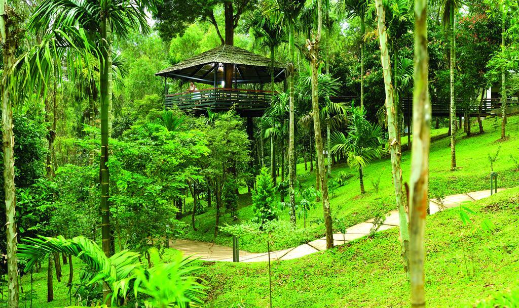 The Woods Resorts Wayanad Салтэн-Батери Экстерьер фото