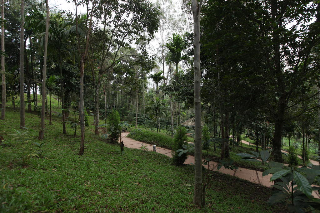 The Woods Resorts Wayanad Салтэн-Батери Экстерьер фото