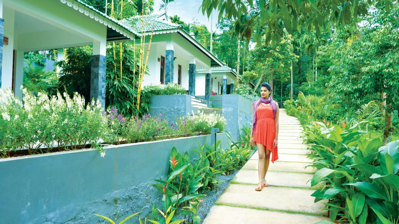 The Woods Resorts Wayanad Салтэн-Батери Экстерьер фото