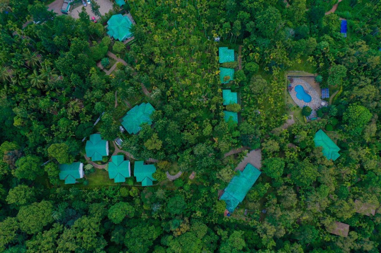 The Woods Resorts Wayanad Салтэн-Батери Экстерьер фото