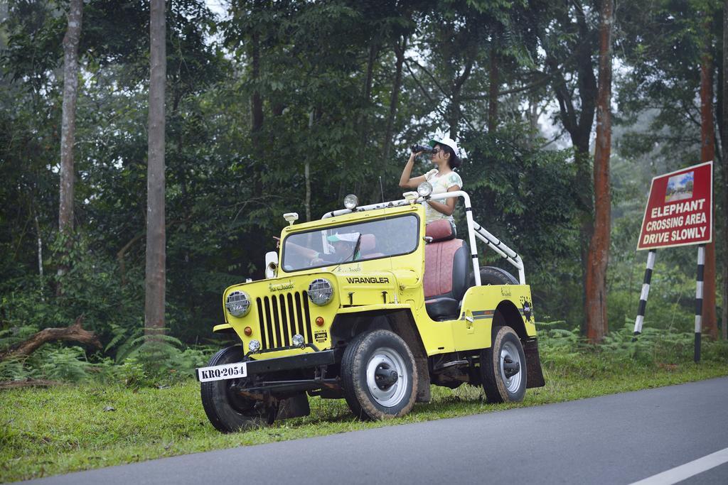 The Woods Resorts Wayanad Салтэн-Батери Экстерьер фото