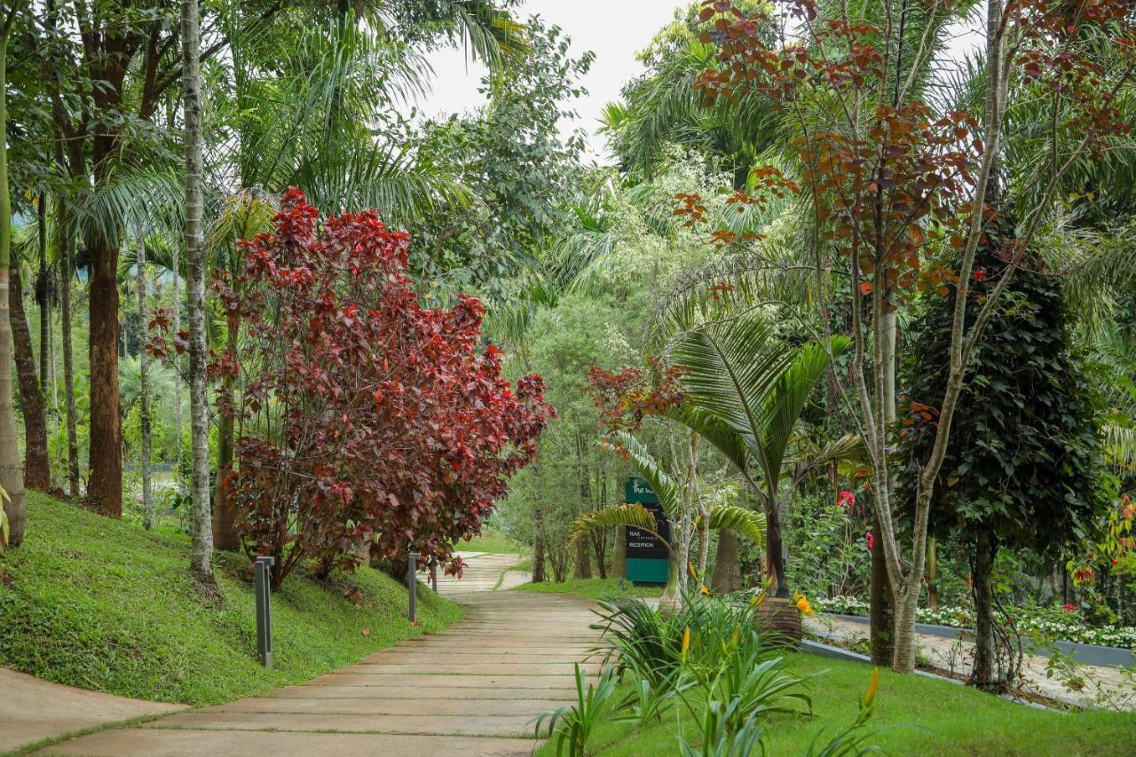 The Woods Resorts Wayanad Салтэн-Батери Экстерьер фото