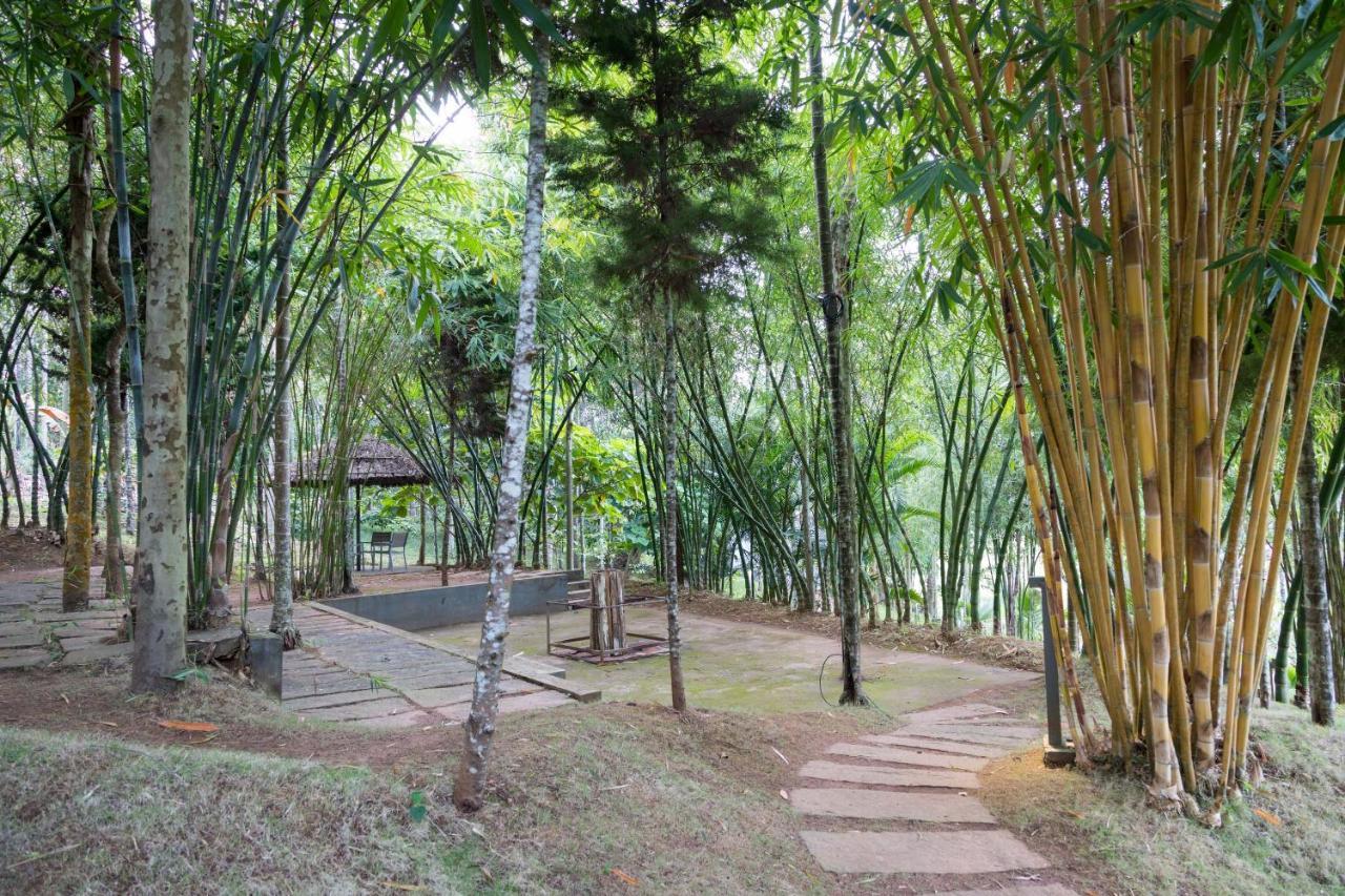 The Woods Resorts Wayanad Салтэн-Батери Экстерьер фото
