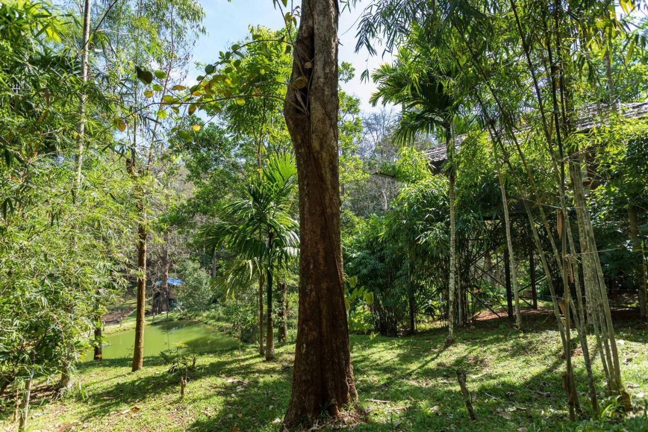 The Woods Resorts Wayanad Салтэн-Батери Экстерьер фото