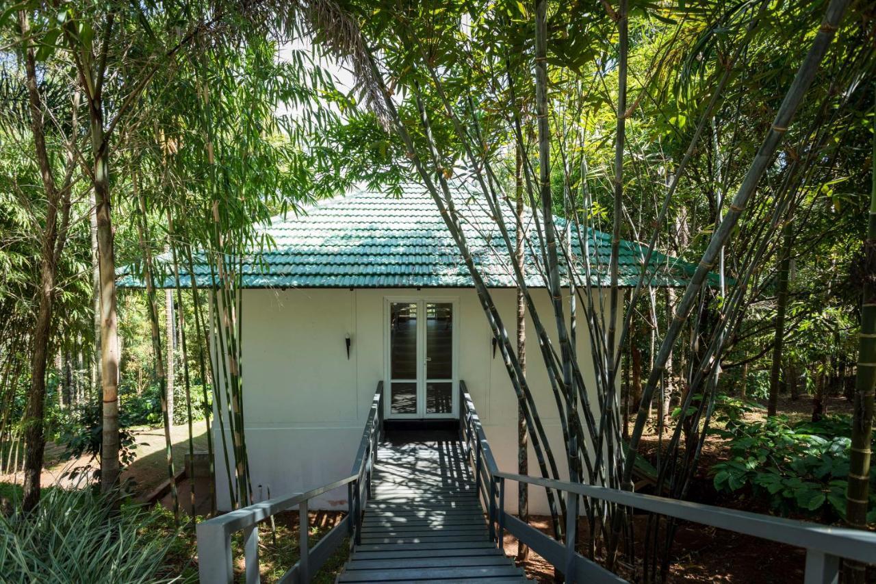The Woods Resorts Wayanad Салтэн-Батери Экстерьер фото